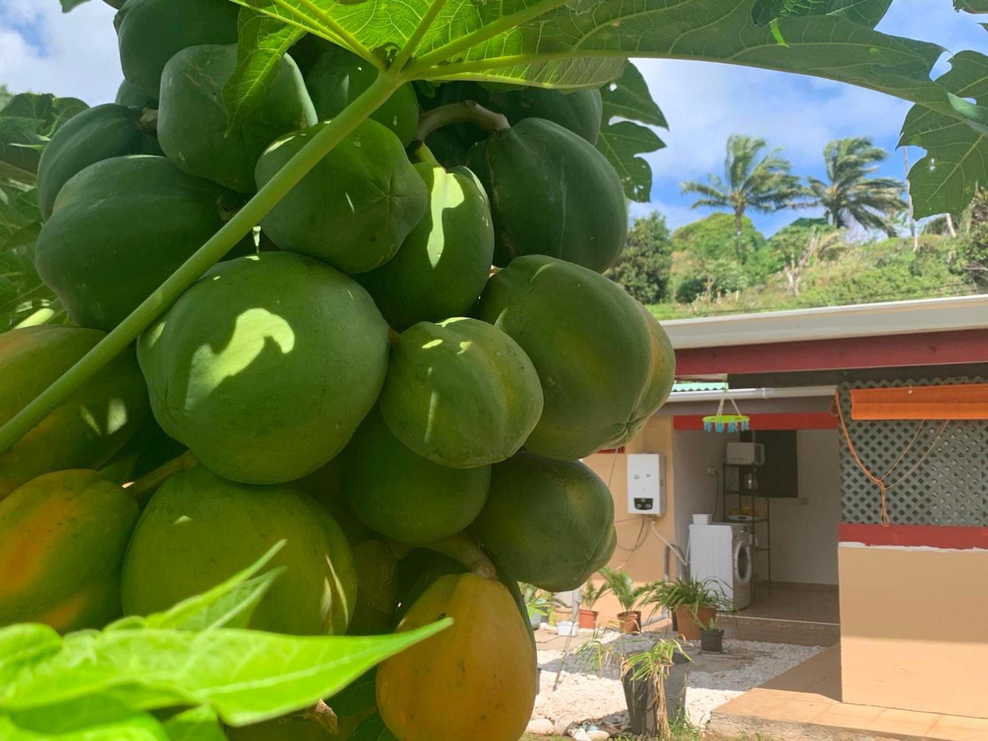 Hotel Lemon House à Maroe Extérieur photo